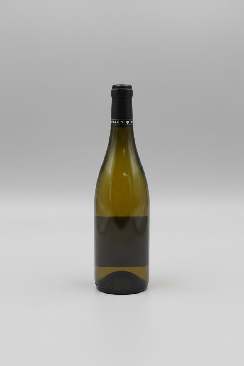 Lamblin & Fils Saint-Bris Sauvignon AOC