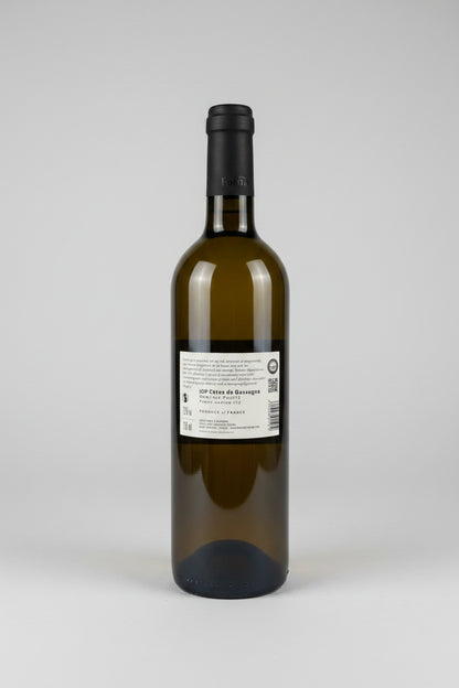 Gros Manseng Domaine de Maubet