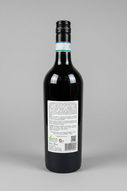 Sogno del Sud Nero d’Avola Baglio Gibellina BIO